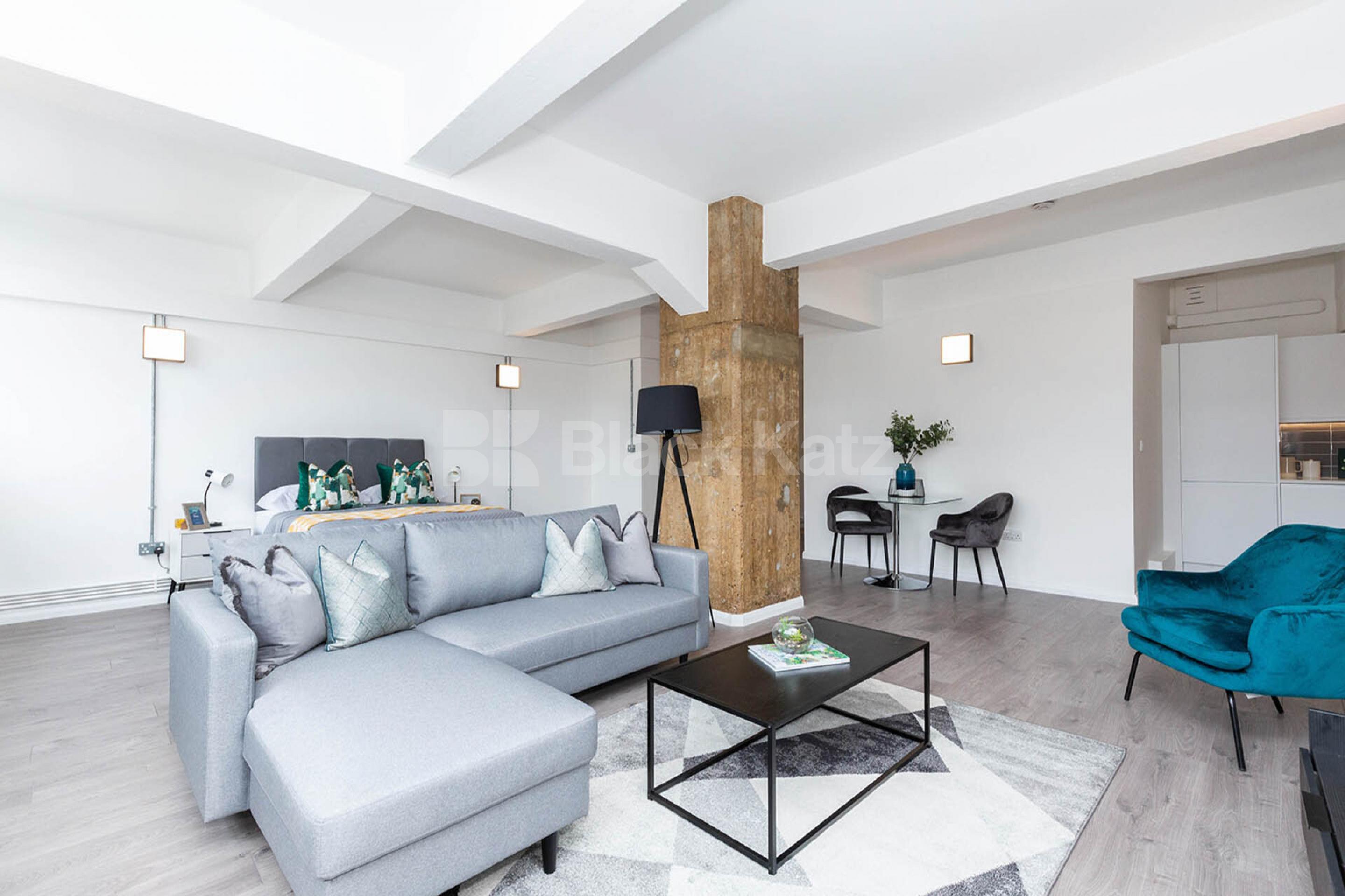 A large and spacious studio within a warehouse convertion Ability View / Kingsland Road, Haggerston E2